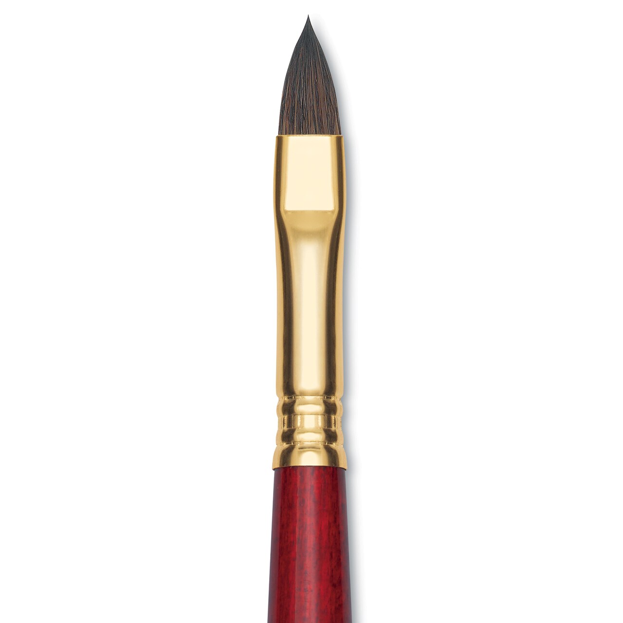 Blick Master Synthetic Kolinsky Brush - Short Handle, Filbert, Size 10